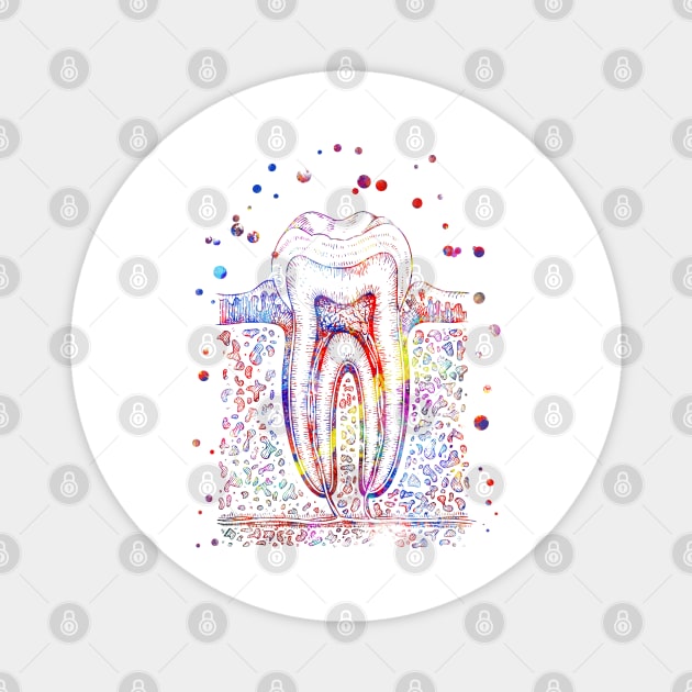 Tooth Magnet by RosaliArt